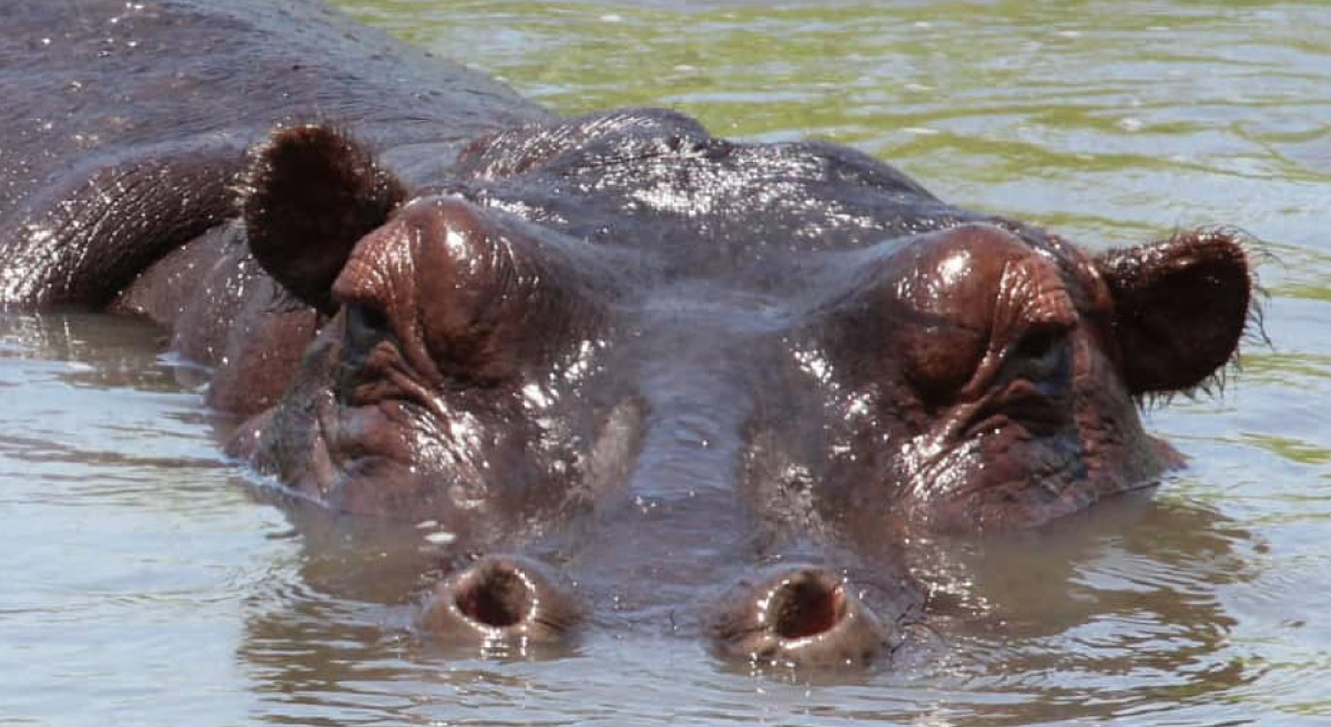 TlouLodge_HomeImages-(3)